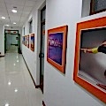 IMG_0445