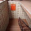IMG_0451